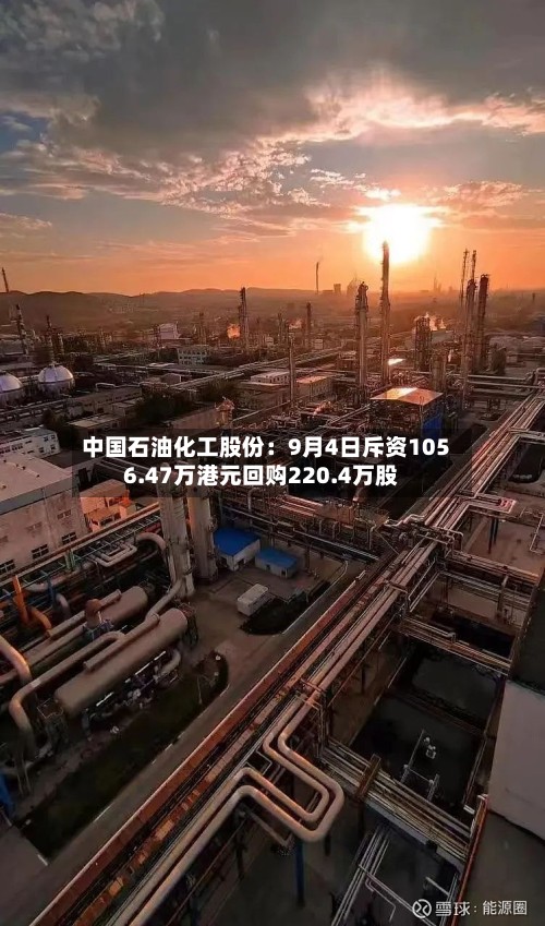 中国石油化工股份：9月4日斥资1056.47万港元回购220.4万股
