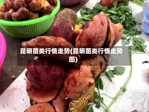 昆明菌类行情走势(昆明菌类行情走势图)-第2张图片