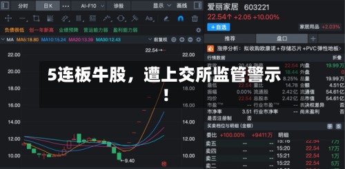 5连板牛股，遭上交所监管警示！-第2张图片
