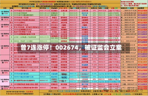 曾7连涨停！002674，被证监会立案-第3张图片
