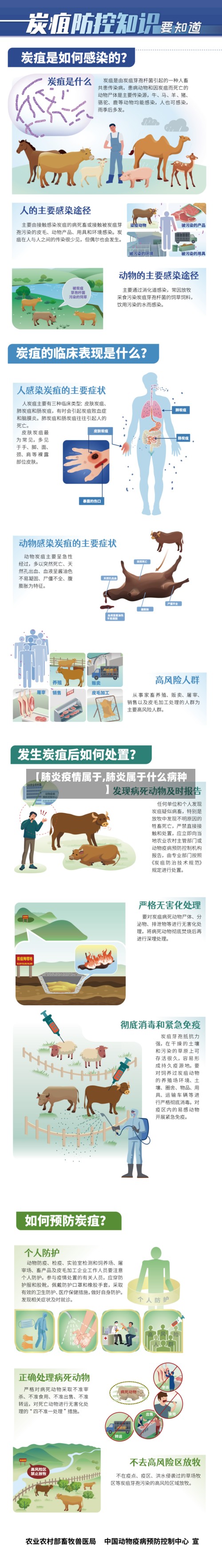 【肺炎疫情属于,肺炎属于什么病种】-第2张图片