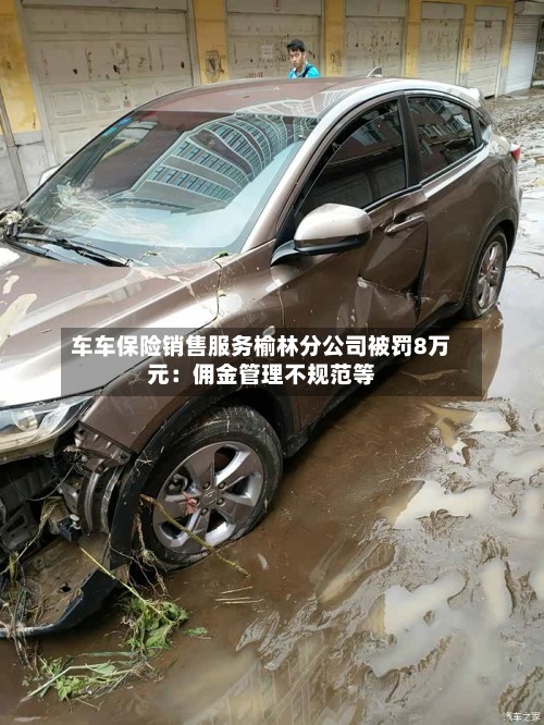 车车保险销售服务榆林分公司被罚8万元：佣金管理不规范等