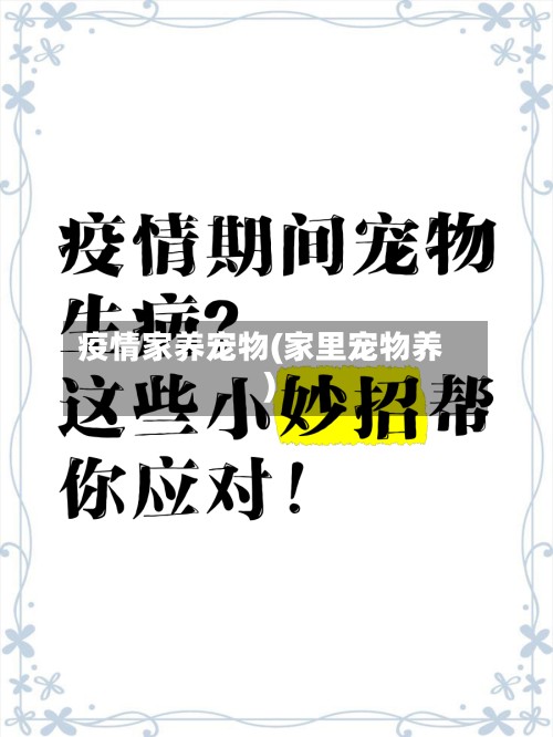 疫情家养宠物(家里宠物养)-第3张图片