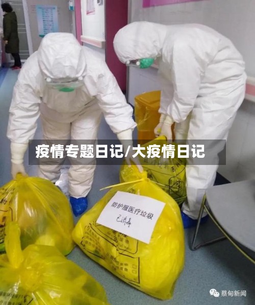 疫情专题日记/大疫情日记