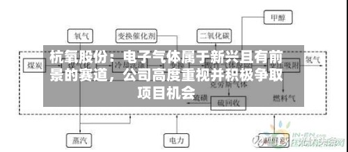 杭氧股份：电子气体属于新兴且有前景的赛道，公司高度重视并积极争取项目机会-第2张图片