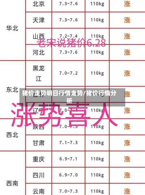 猪价走势明日行情走势/猪价行情分析