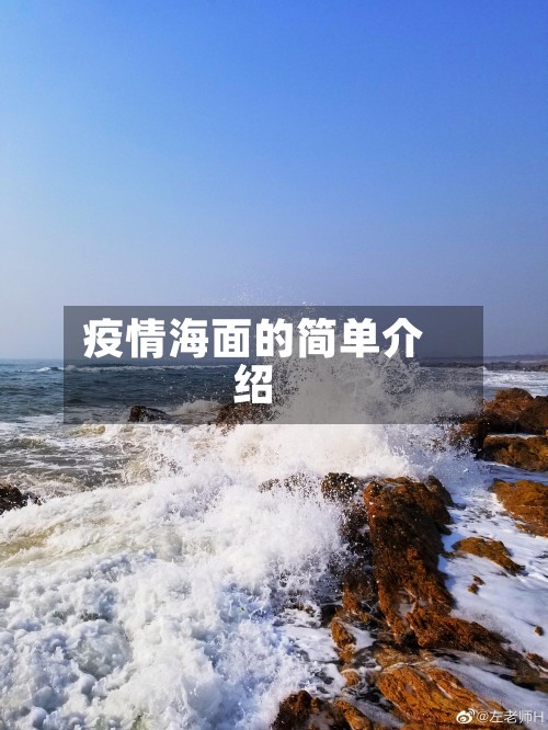 疫情海面的简单介绍-第2张图片