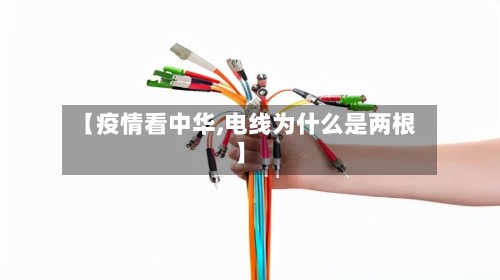 【疫情看中华,电线为什么是两根】-第3张图片