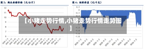 【小猪走势行情,小猪走势行情走势图】