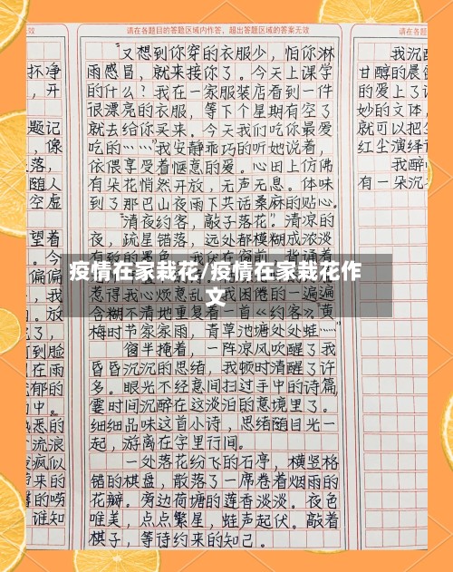 疫情在家栽花/疫情在家栽花作文-第2张图片