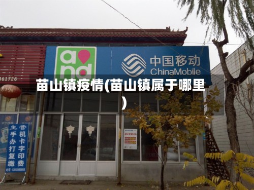 苗山镇疫情(苗山镇属于哪里)