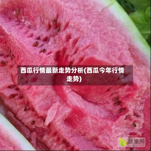 西瓜行情最新走势分析(西瓜今年行情走势)