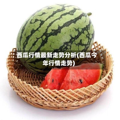 西瓜行情最新走势分析(西瓜今年行情走势)-第2张图片