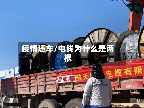 疫情还车/电线为什么是两根-第2张图片