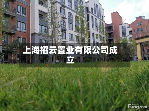 上海招云置业有限公司成立
