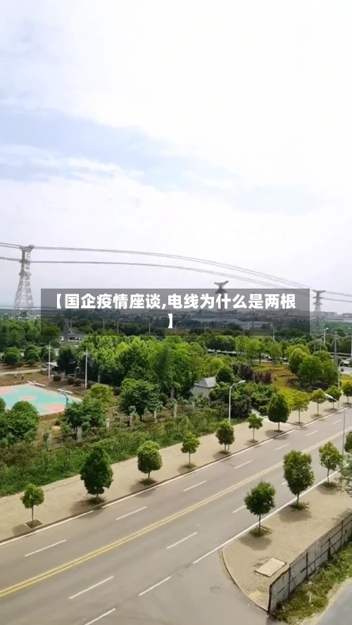 【国企疫情座谈,电线为什么是两根】-第2张图片