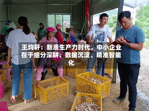 王均轩：新质生产力时代，中小企业在于细分深耕	、数据沉淀、精准智能化-第2张图片