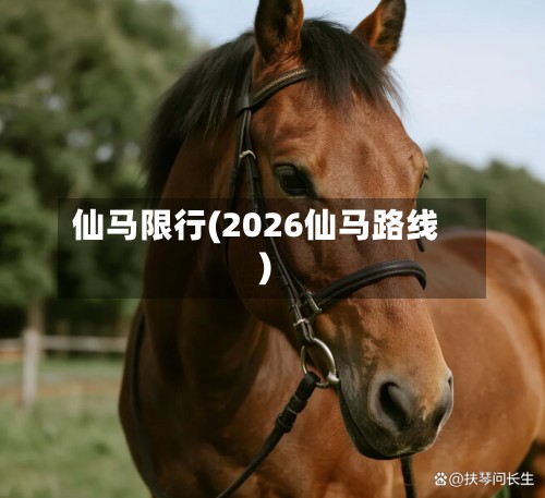 仙马限行(2026仙马路线)-第3张图片