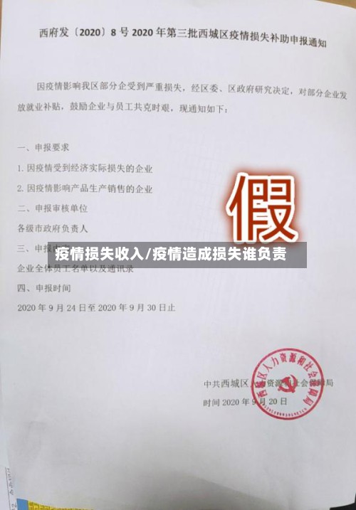 疫情损失收入/疫情造成损失谁负责