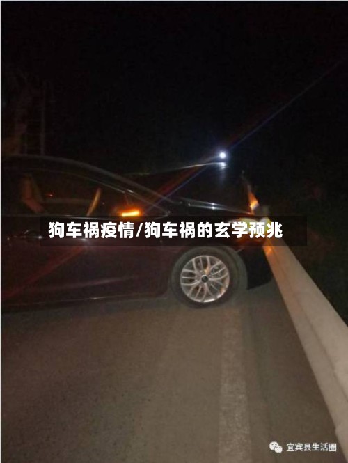 狗车祸疫情/狗车祸的玄学预兆-第3张图片