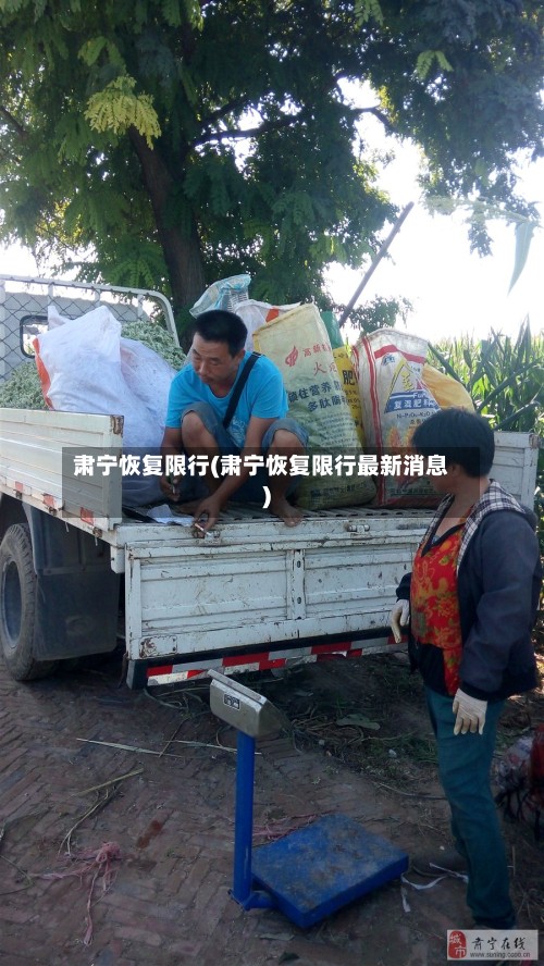 肃宁恢复限行(肃宁恢复限行最新消息)-第2张图片