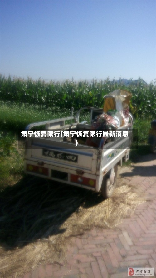 肃宁恢复限行(肃宁恢复限行最新消息)-第3张图片