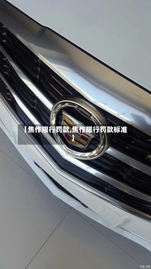 【焦作限行罚款,焦作限行罚款标准】-第2张图片