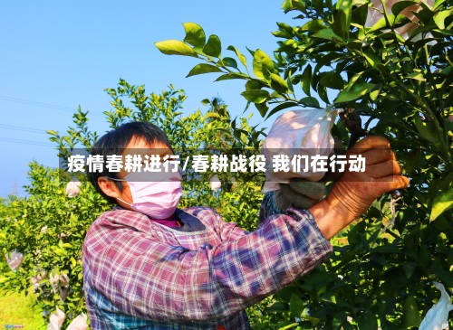 疫情春耕进行/春耕战役 我们在行动