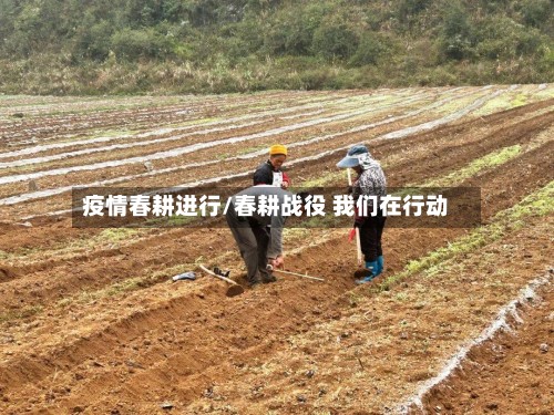 疫情春耕进行/春耕战役 我们在行动-第3张图片