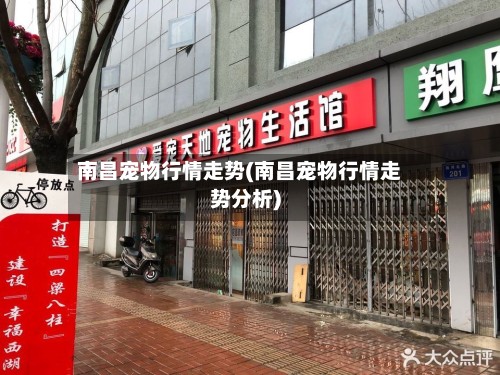 南昌宠物行情走势(南昌宠物行情走势分析)