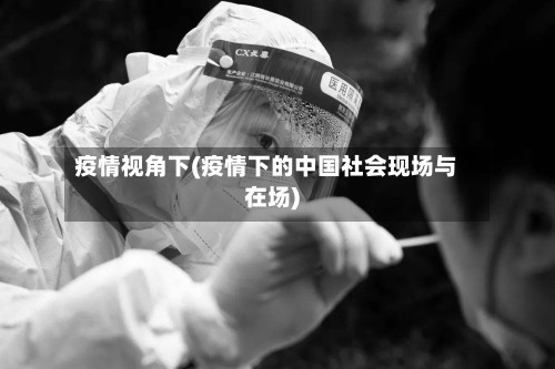 疫情视角下(疫情下的中国社会现场与在场)