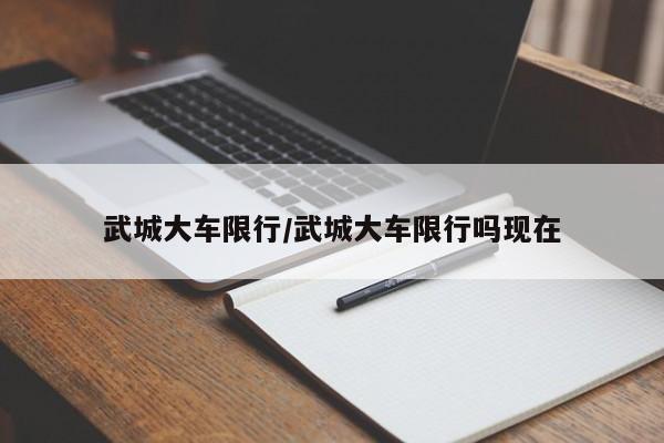 武城大车限行/武城大车限行吗现在