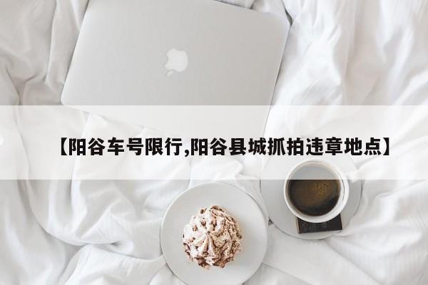 【阳谷车号限行,阳谷县城抓拍违章地点】