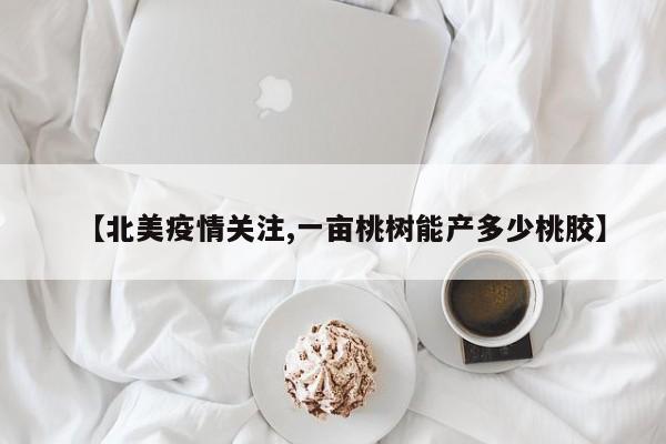 【北美疫情关注,一亩桃树能产多少桃胶】