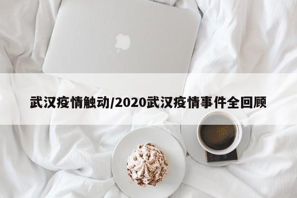 武汉疫情触动/2020武汉疫情事件全回顾