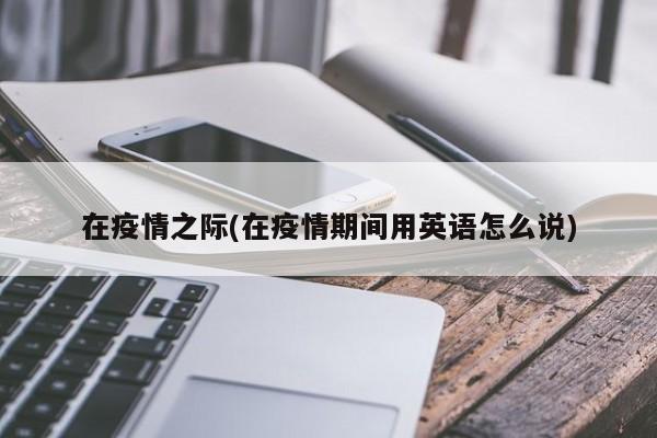在疫情之际(在疫情期间用英语怎么说)