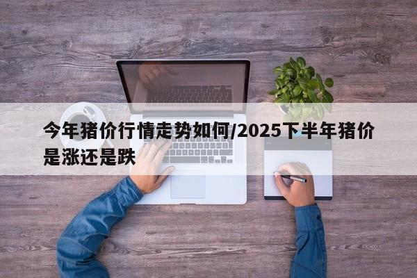 今年猪价行情走势如何/2025下半年猪价是涨还是跌