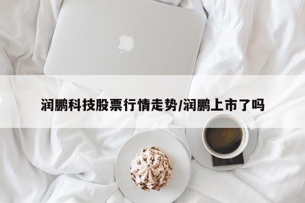 润鹏科技股票行情走势/润鹏上市了吗