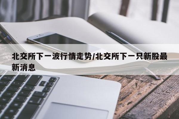 北交所下一波行情走势/北交所下一只新股最新消息