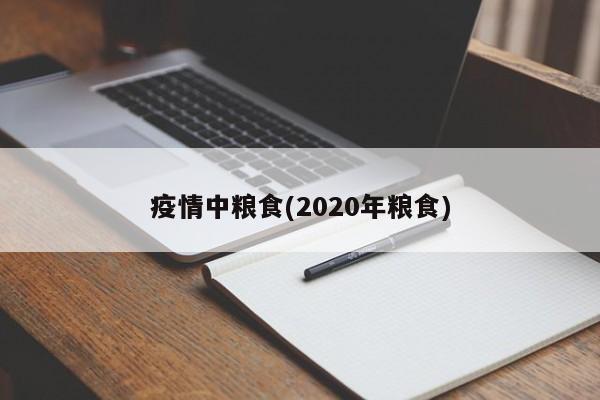疫情中粮食(2020年粮食)
