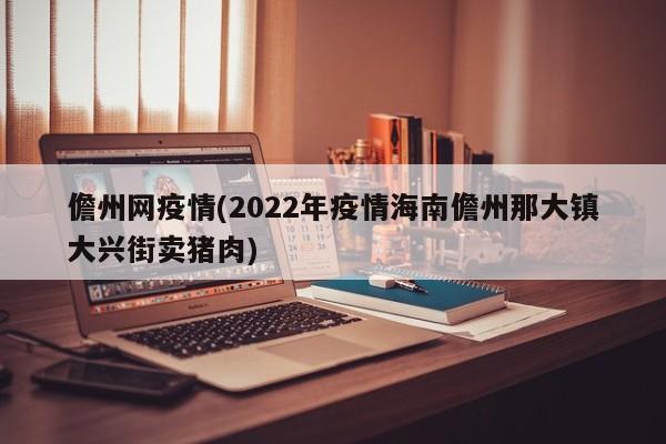 儋州网疫情(2022年疫情海南儋州那大镇大兴街卖猪肉)