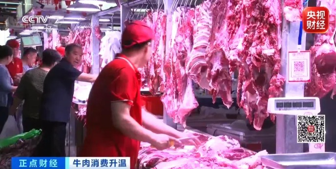 从一头牛亏超2000元到赚2000元！牛肉费用持续上涨，旺季来了
