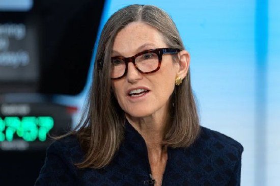 美股知名投资人最新调仓曝光：“木头姐”大举买入Meta，同时减持CrowdStrike